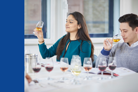 WSET NIVEL 2 - PROFUNDIZA EN EL UNIVERSO DEL VINO 