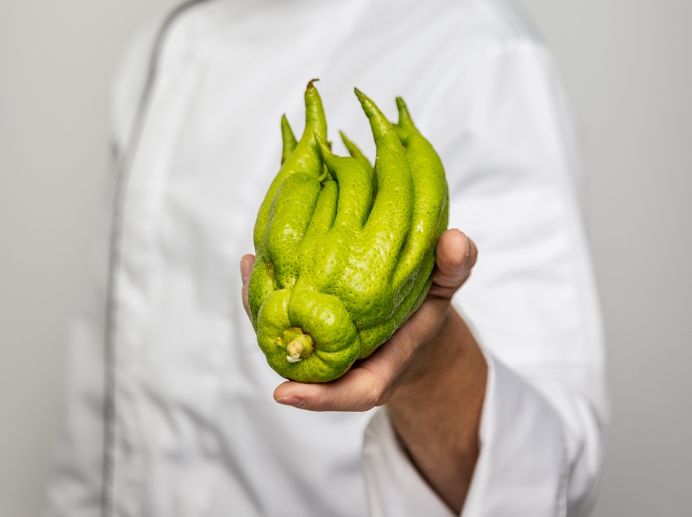 Verduras