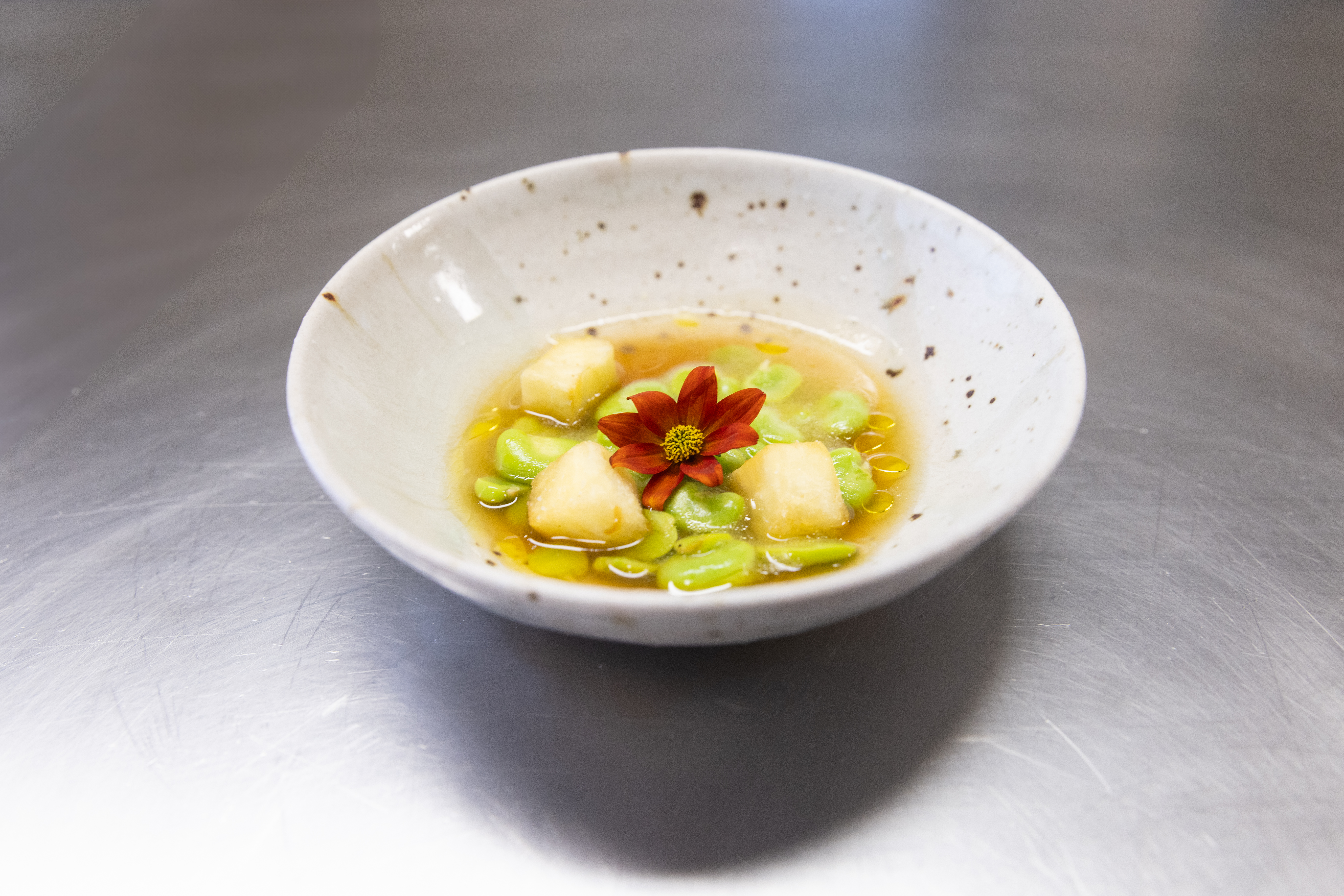 (Testing) Nutrición culinaria 2027