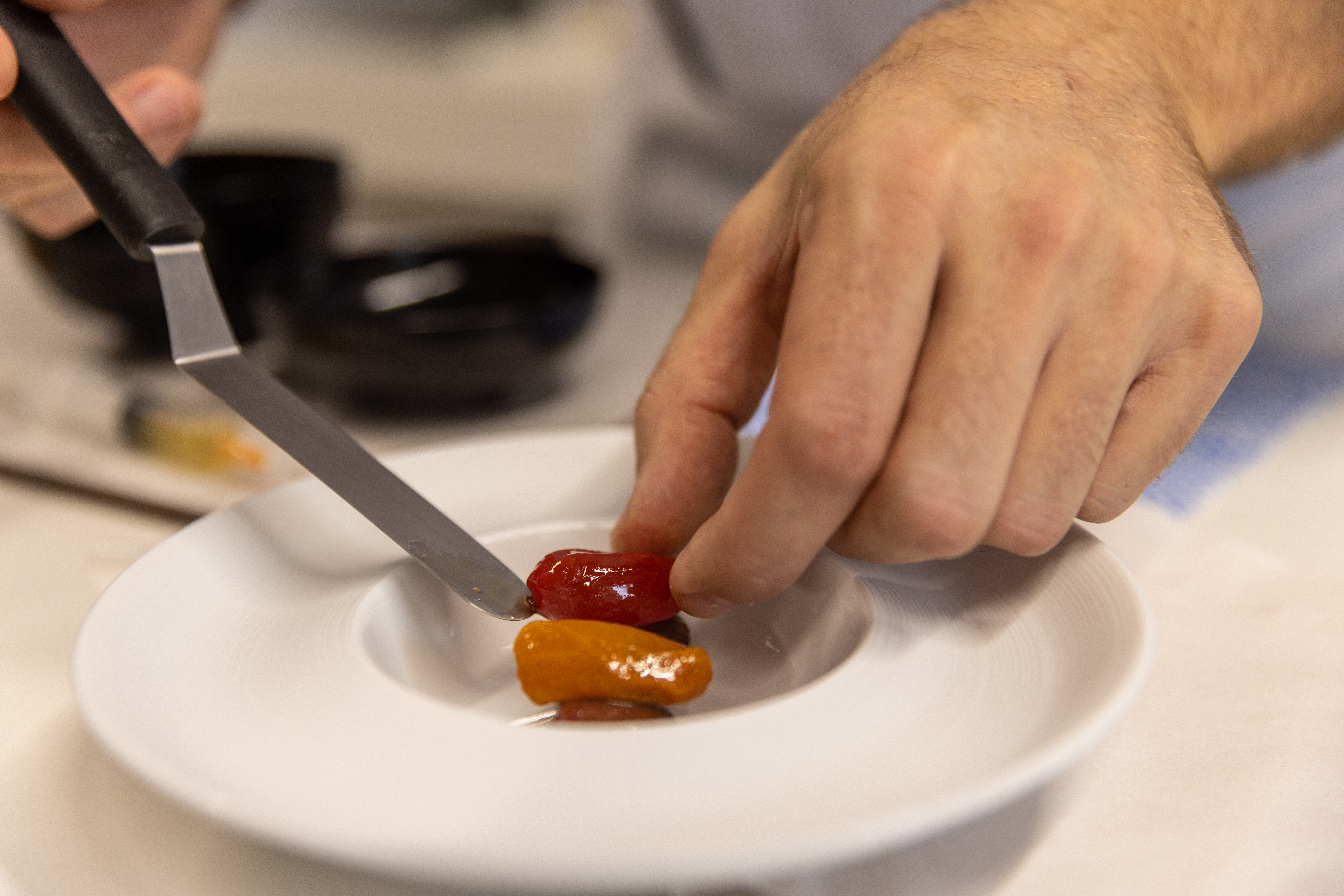 elaboración plato