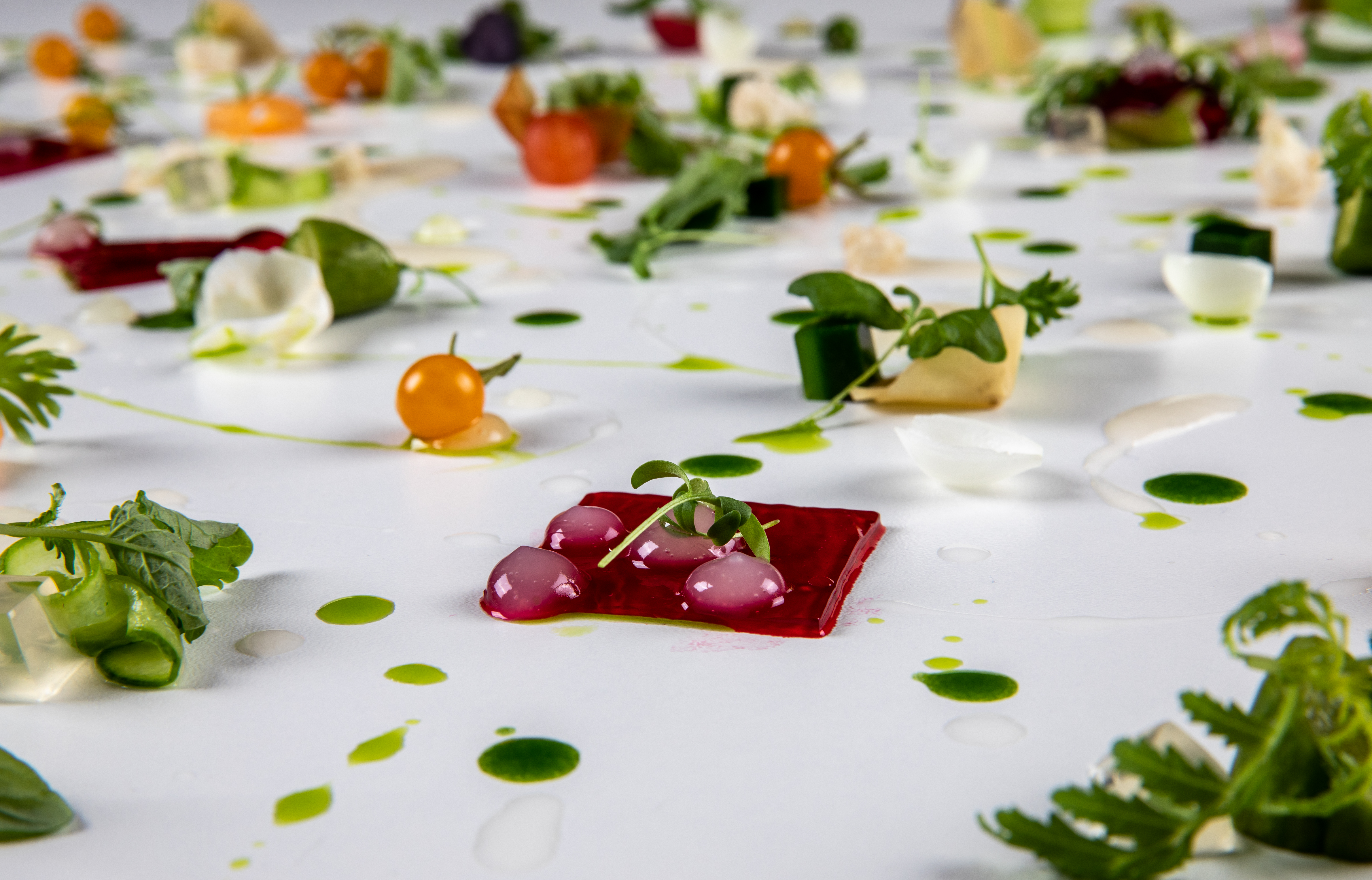 presentación plato