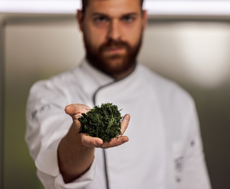 Cocina vegetal: técnica, creatividad y huerta