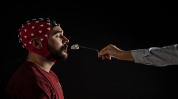 (Testing) Máster Universitario en Sensory Analysis and Consumer Science - REVISADO