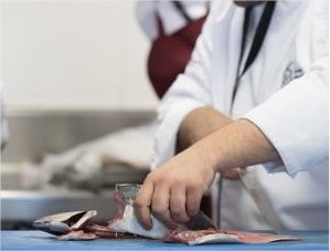 Conviértete en chef - Avanzado