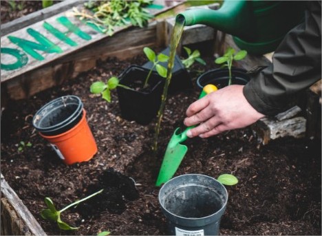 De la huerta a tu mesa